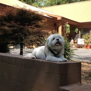 Meet your Posher, Brittnie